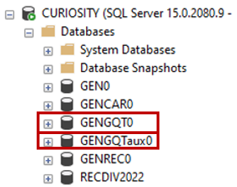 Local and Working copies on SSMS